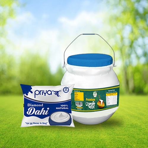 Protien Dahi (before)